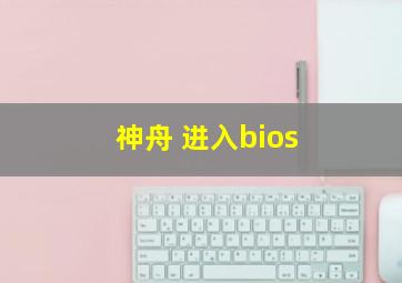 神舟 进入bios